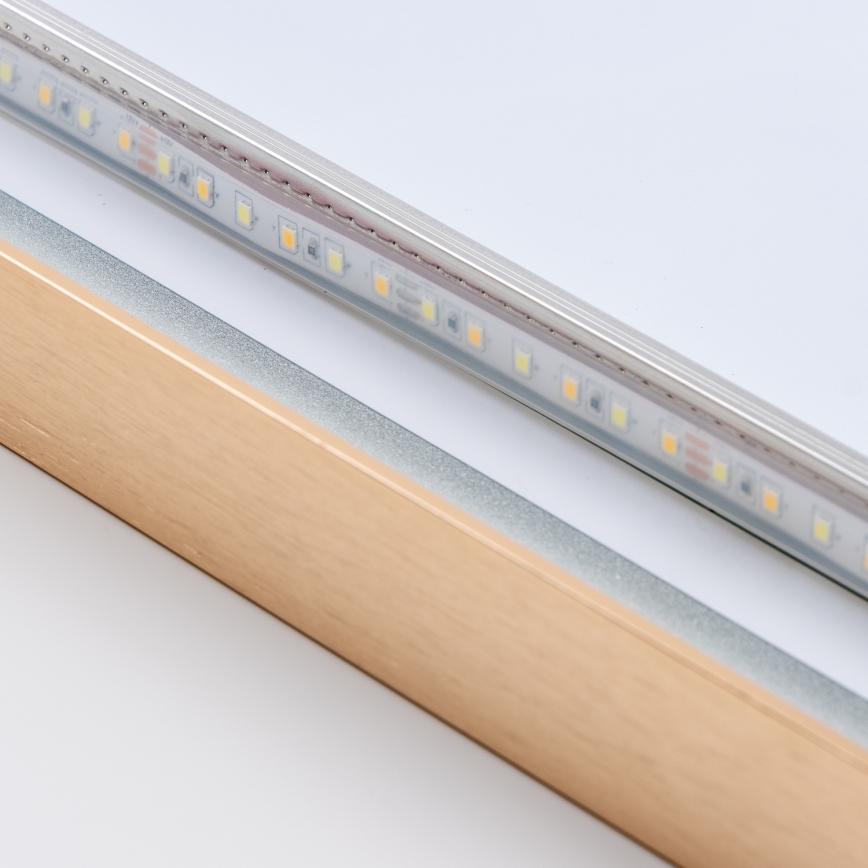 Brilagi - Espelho LED para casa de banho ERBA LED/25W/230V 50x80 cm dourado IP44 CRI 90 dimerizável + CCT