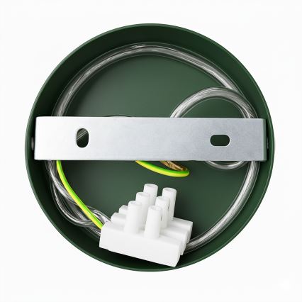 Brilagi - LED Iluminação de parede FLAMENGO 1xE27/60W/230V verde