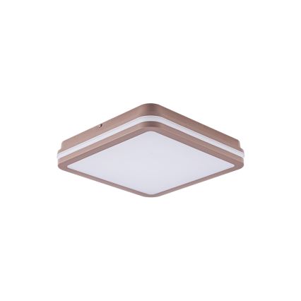 Brilagi - Plafon LED de exterior BENE LED/24W/230V 26x26 cm castanho IP54