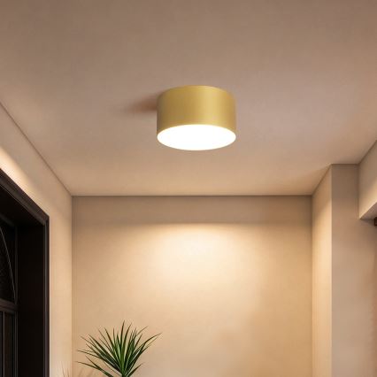BRILAGI - Luminária de teto LED para exterior FORIS LED/14W/230V Ø 12 cm dourada IP44
