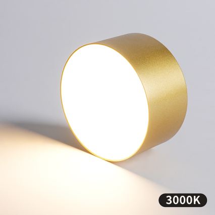 BRILAGI - Luminária de teto LED para exterior FORIS LED/14W/230V Ø 12 cm dourada IP44