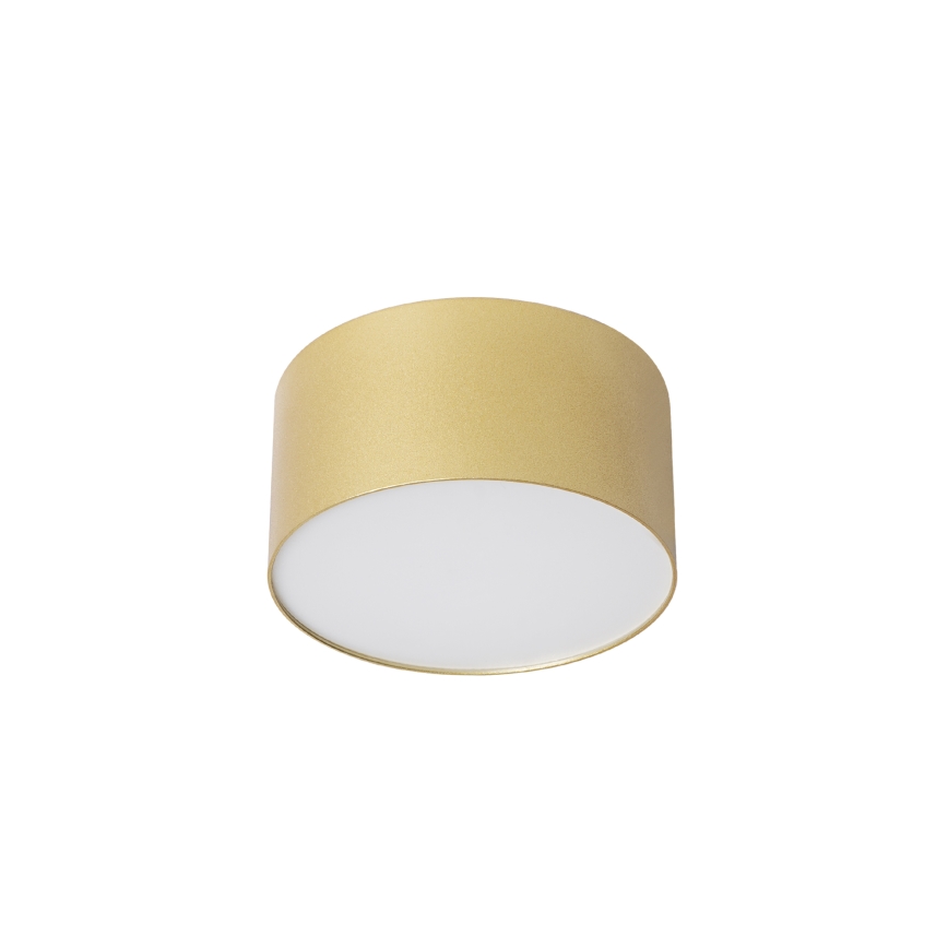 BRILAGI - Luminária de teto LED para exterior FORIS LED/14W/230V Ø 12 cm dourada IP44