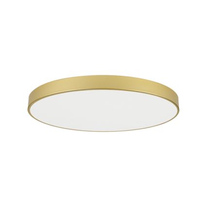 Brilagi - Luminária de Teto LED POOL LED/128W/230V 3000/4000/6000K Ø 100 cm dourada