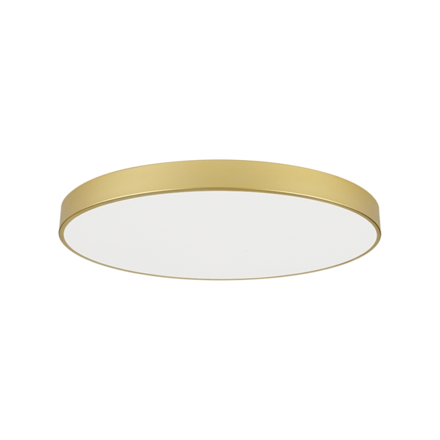 Brilagi - Luminária de Teto LED POOL LED/128W/230V 3000/4000/6000K Ø 100 cm dourada