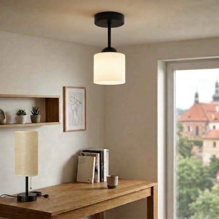 BRILAGI - LED luminária de teto sobreposta RETRO GLASS 1xE27/60W/230V Ø 10 cm preta/branca