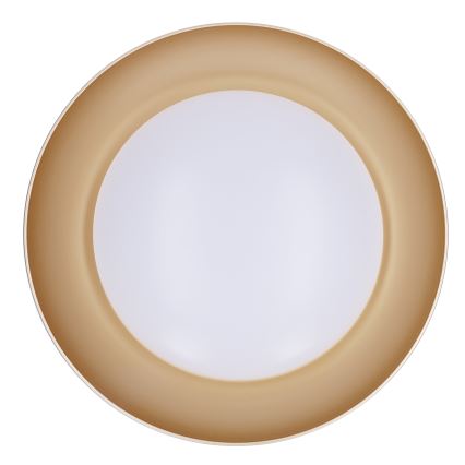 Brilagi - Candeeiro de tecto LED dimerizável ALVA LED/48W/230V 3000-6500K diâmetro 51 cm branco + controlo remoto