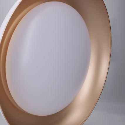 Brilagi - Candeeiro de tecto LED dimerizável ALVA LED/48W/230V 3000-6500K diâmetro 51 cm branco + controlo remoto
