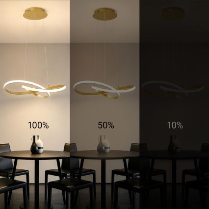 Brilagi - Lustre LED dimerizável suspenso por cabo INFINITY LED/55W/230V 3000-6000K 50x50 cm dourado + controlo remoto