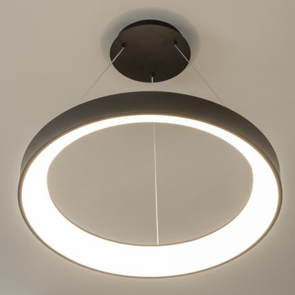 Brilagi - Lustre LED dimerizável suspenso por cabo FALCON II LED/99W/230V 3000-6500K diâmetro 60 cm preto + controlo remoto