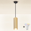 Brilagi - LED RGBW Lustre dimerizável suspenso por cabo SELE 1xGU10/4,8W/230V 3000K preto/dourado + controlo remoto