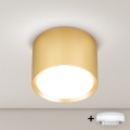 BRILAGI - LED Spot SMOOTH 1xGX53/15W/230V 60x82 mm dourado