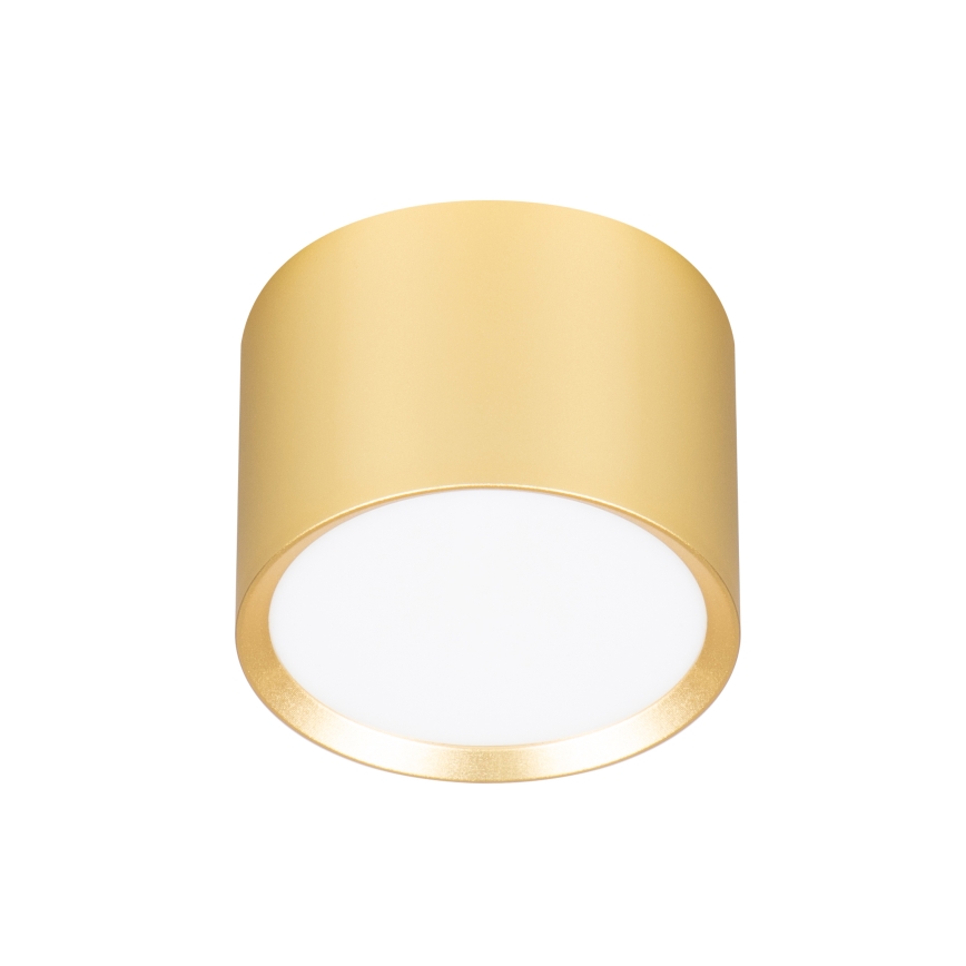 BRILAGI - LED Spot SMOOTH 1xGX53/15W/230V 60x82 mm dourado