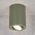 BRILAGI - Luminária de foco MIA 1xGU10/30W/230V 100x80 mm verde escuro