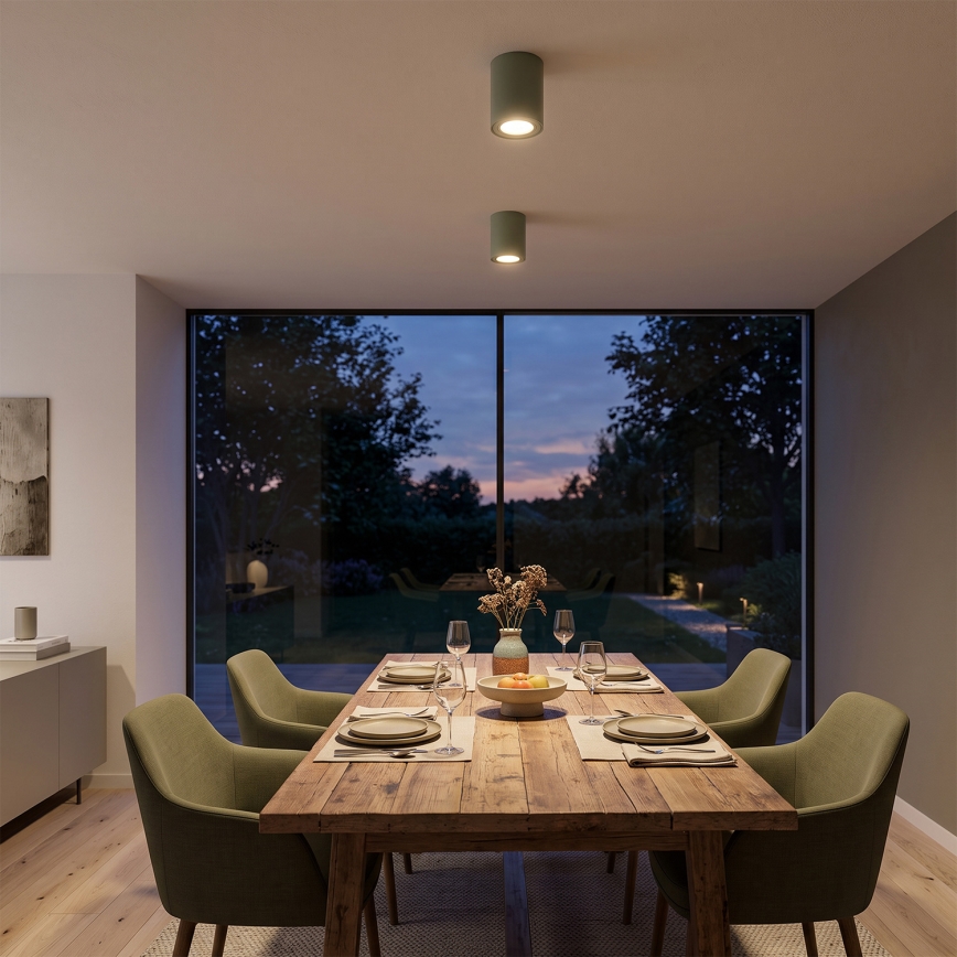 BRILAGI - Luminária de foco MIA 1xGU10/30W/230V 100x80 mm verde escuro