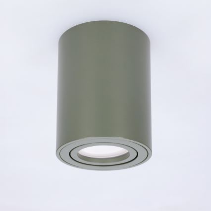 BRILAGI - Luminária de foco MIA 1xGU10/30W/230V 100x80 mm verde escuro