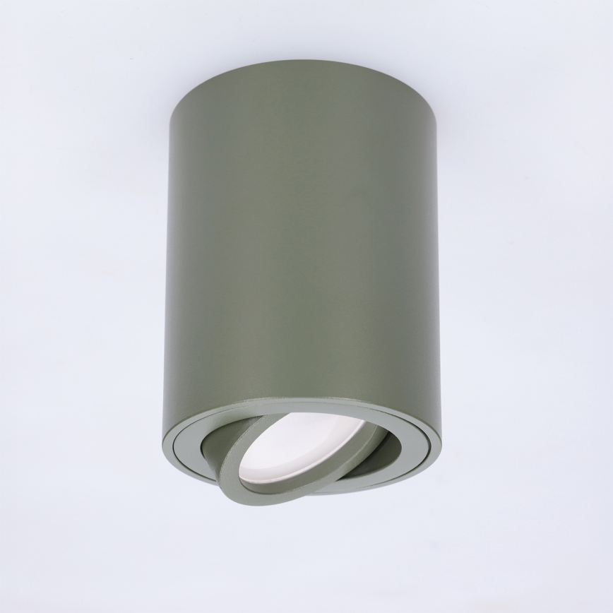 BRILAGI - Luminária de foco MIA 1xGU10/30W/230V 100x80 mm verde escuro