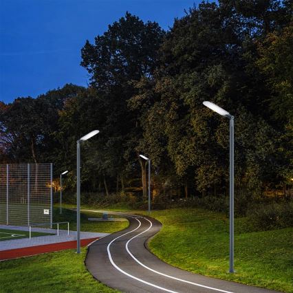 Brilagi - Luminária de rua LED para exterior URBANLIGHT LED/250W/230V antracite IP65