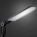 Brilagi - Luminária de rua LED para exterior URBANLIGHT LED/250W/230V preta IP65