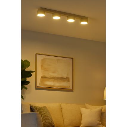 Brilagi - Luminária de teto 4xGX53/12W/230V, bege