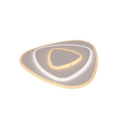 Brilagi - Candeeiro de teto LED regulável MODERN LED/58W/230V 3000-6000K 47x48,5 cm+ controlo remoto