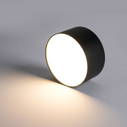 BRILAGI - Luminária de teto para exterior FORIS LED/20W/230V Ø 15 cm preta IP44