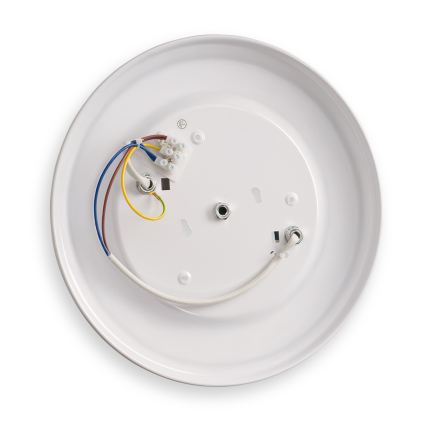 Brilagi - Luminária de teto FRESCO 2xE27/40W/230V Ø 30 cm dourada