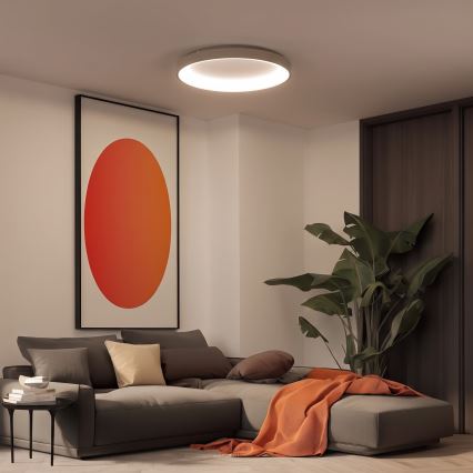 BRILAGI - Luminária de teto LED dimerizável FALCON II LED/108W/230V 3000-6500K diâmetro 80 cm branco/bege + controlo remoto