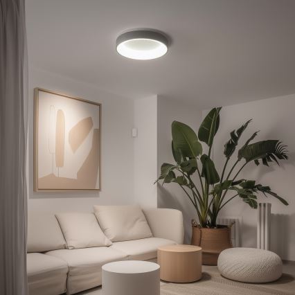 Brilagi - Candeeiro de tecto LED regulável FALCON LED/40W/230V 3000-6500K Ø 45 cm cinzento + comando remoto