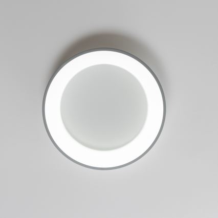 Brilagi - Candeeiro de tecto LED regulável FALCON LED/40W/230V 3000-6500K Ø 45 cm cinzento + comando remoto