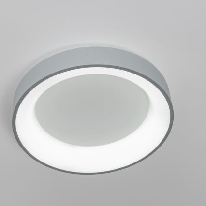 Brilagi - Candeeiro de tecto LED regulável FALCON LED/40W/230V 3000-6500K Ø 45 cm cinzento + comando remoto