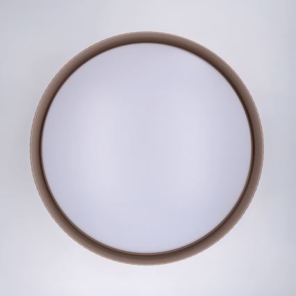 Brilagi - Candeeiro de teto LED dimerizável LUCIA LED/60W/230V 3000-6500K Ø 59 cm taupe + controlo remoto