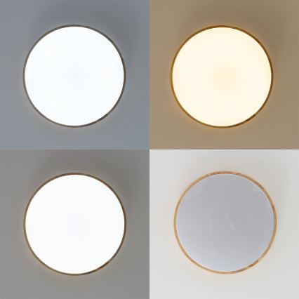 Brilagi - Luminária de teto LED dimerizável PINE LED/24W/230V diâmetro 42 cm 3000-6500K + comando remoto