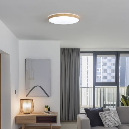 Brilagi - Luminária de teto LED regulável PINE LED/60W/230V Ø 52 cm 3000-6500K + controlo remoto