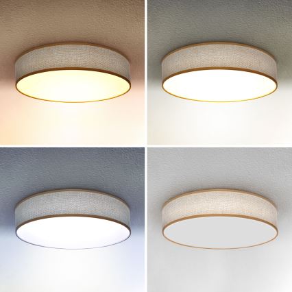 Brilagi - Luminária de teto LED regulável CARMEN LED/48W/230V 3000-6500K diâmetro 40 cm + controlo remoto