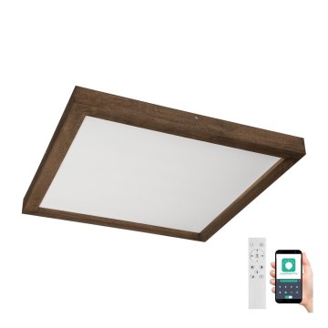 Brilagi - Luminária de teto LED dimmerizável para banheiro WOODY FRAME LED/50W/230V carvalho nogueira 60x60 cm 3000-6000K IP44 + controlo remoto