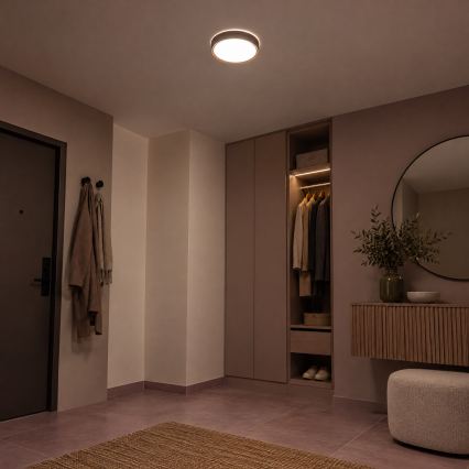 BRILAGI - Luminária de teto LED NATURA LED/12W/230V 4000K Ø 26,3 cm