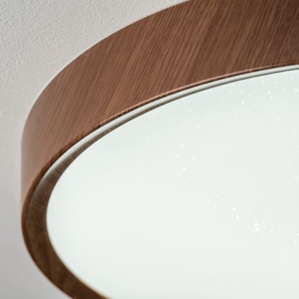 BRILAGI - Luminária de teto LED NATURA LED/12W/230V 4000K Ø 26,3 cm