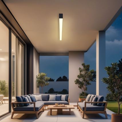 Brilagi - Luminária de teto LED para casa de banho SLEEKLINE LED/40W/230V 3000/4500/6000K preta IP44