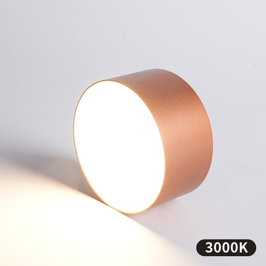 BRILAGI - Candeeiro de tecto para exterior FORIS LED/14W/230V Ø 12 cm bronze IP44