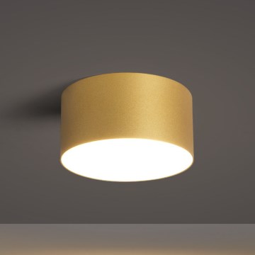 BRILAGI - Luminária de teto LED para exterior FORIS LED/14W/230V Ø 12 cm dourada IP44