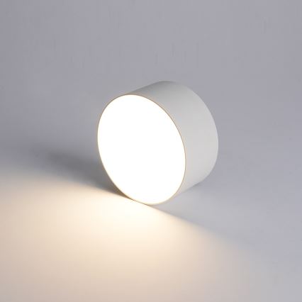 BRILAGI - Luminária de teto LED para exterior FORIS LED/9W/230V, Ø 9 cm, branca, IP44