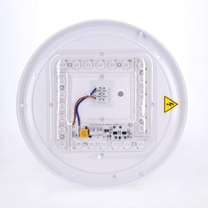 BRILAGI - Luminária de teto LED PILANA LED/24W/230V carvalho/dourado Ø 30 cm