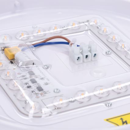 BRILAGI - Luminária de teto LED PILANA LED/24W/230V carvalho/dourado Ø 30 cm