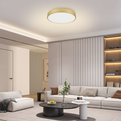 Brilagi - Luminária de teto LED POOL, 60W, 230V, 3000/4500/6000K, diâmetro 60 cm, dourada