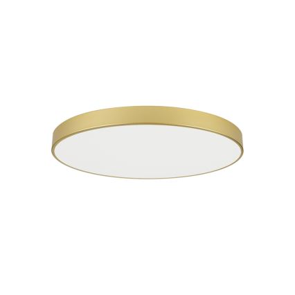 Brilagi - Candeeiro de tecto POOL LED/100W/230V 3000/4000/6000K Ø 80 cm dourado