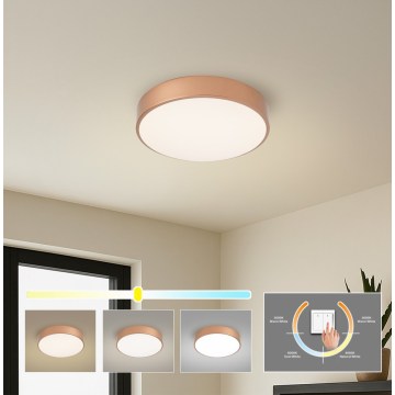 BRILAGI - Luminária de teto LED POOL LED/36W/230V 3000/4000/6000K, diâmetro 30 cm, acabamento em cobre
