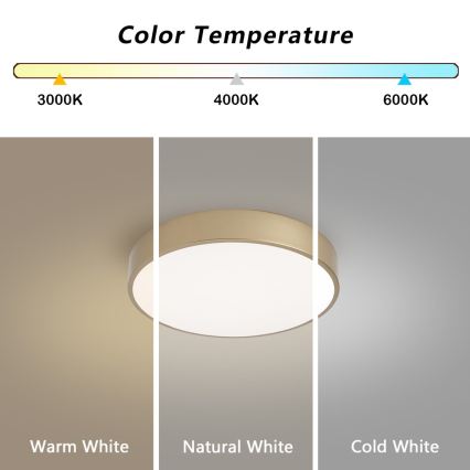 BRILAGI - Luminária de teto LED POOL LED/36W/230V 3000/4000/6000K Ø 30 cm dourada