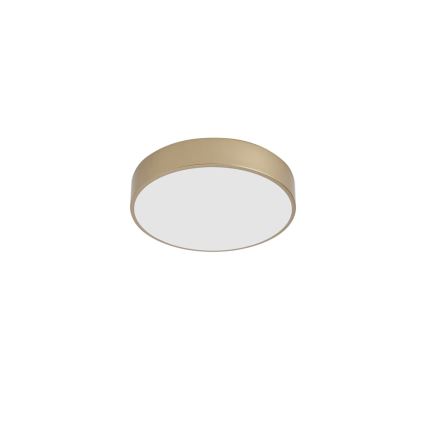 BRILAGI - Luminária de teto LED POOL LED/36W/230V 3000/4000/6000K Ø 30 cm dourada