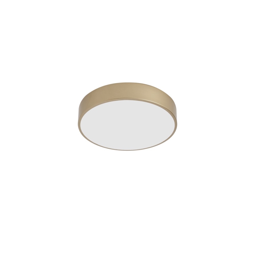 BRILAGI - Luminária de teto LED POOL LED/36W/230V 3000/4000/6000K Ø 30 cm dourada