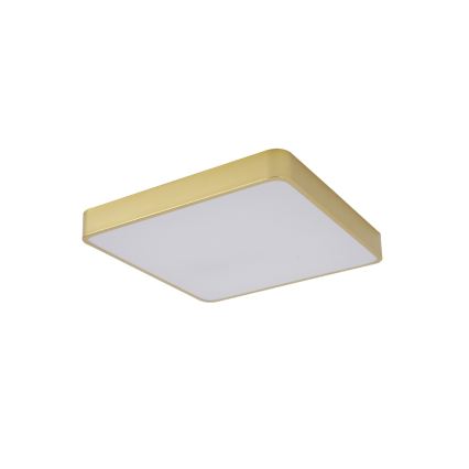 Brilagi - Luminária de teto LED POOL LED/48W/230V 3000/4000/6000K 50x50 cm dourada